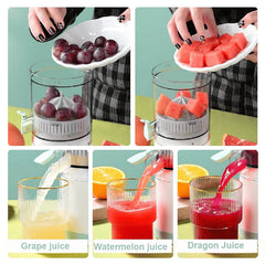 Multifunctional Electirc Juice Squeezer