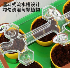 Mini Garden - Scientific Plant Greenhouse